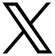 X image