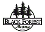 three dark tree silhouettes with the company name below them