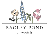 three flowers over the words Bagley Pond Perennials